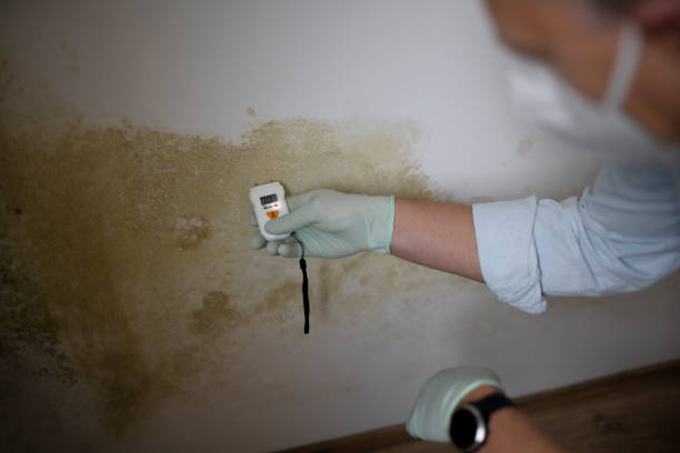 Best Mold Testing  in Centralia, MO