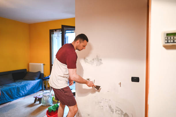 Reliable Centralia, MO Mold Removal Solutions